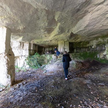 Saint-Bonnet-sur-Gironde Logis De Bois Rocheヴィラ エクステリア 写真