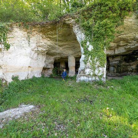 Saint-Bonnet-sur-Gironde Logis De Bois Rocheヴィラ エクステリア 写真