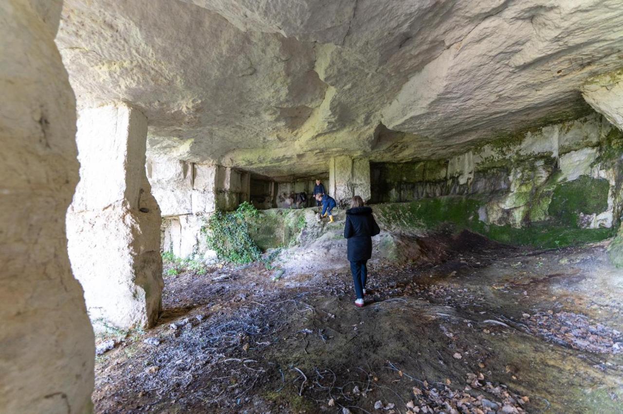 Saint-Bonnet-sur-Gironde Logis De Bois Rocheヴィラ エクステリア 写真
