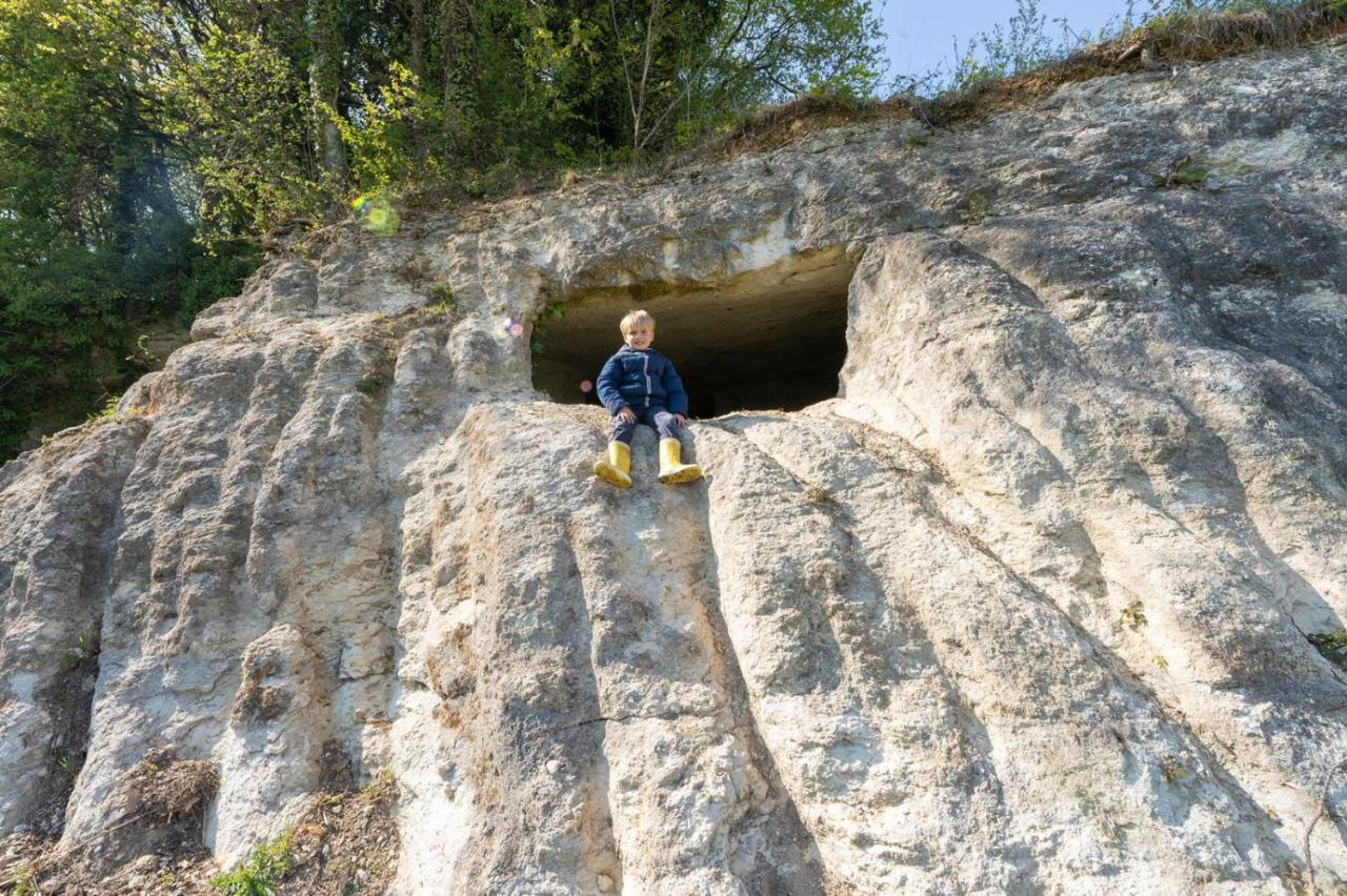 Saint-Bonnet-sur-Gironde Logis De Bois Rocheヴィラ エクステリア 写真