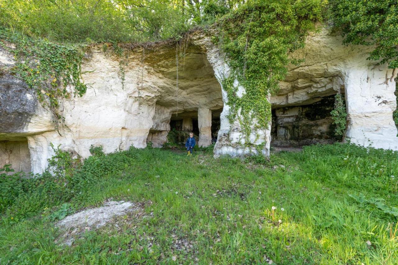 Saint-Bonnet-sur-Gironde Logis De Bois Rocheヴィラ エクステリア 写真