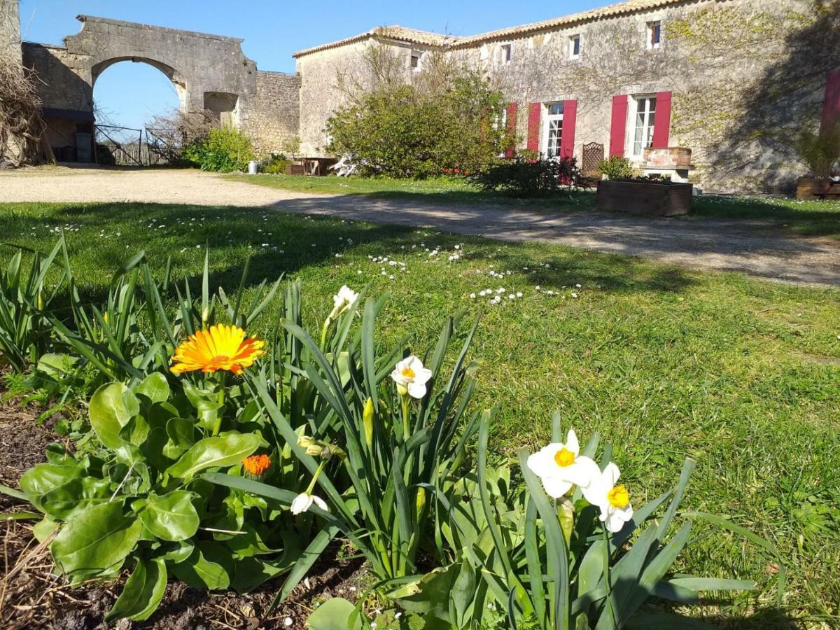 Saint-Bonnet-sur-Gironde Logis De Bois Rocheヴィラ エクステリア 写真