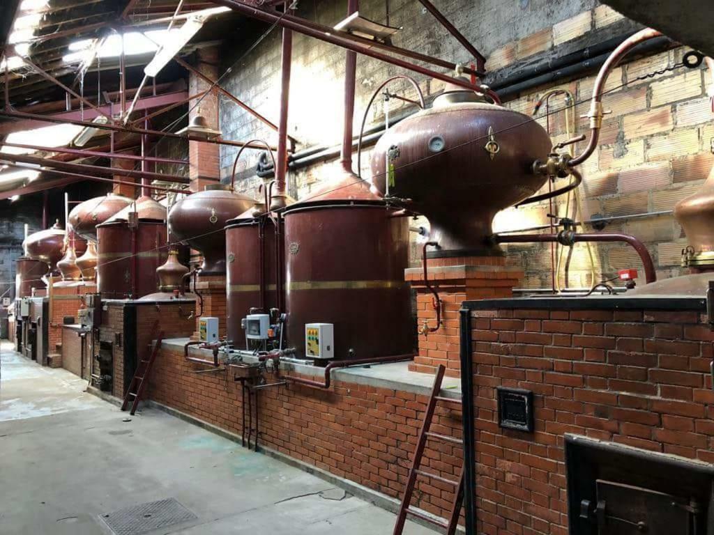 Saint-Bonnet-sur-Gironde Logis De Bois Rocheヴィラ エクステリア 写真