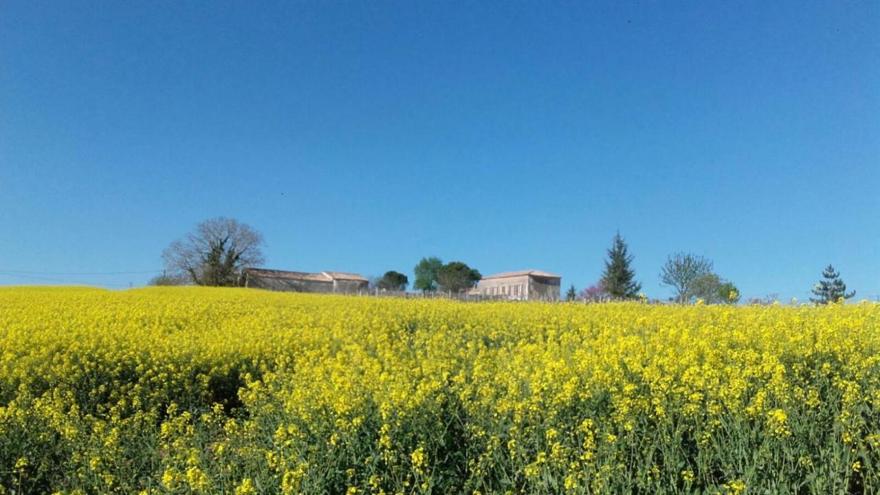 Saint-Bonnet-sur-Gironde Logis De Bois Rocheヴィラ エクステリア 写真