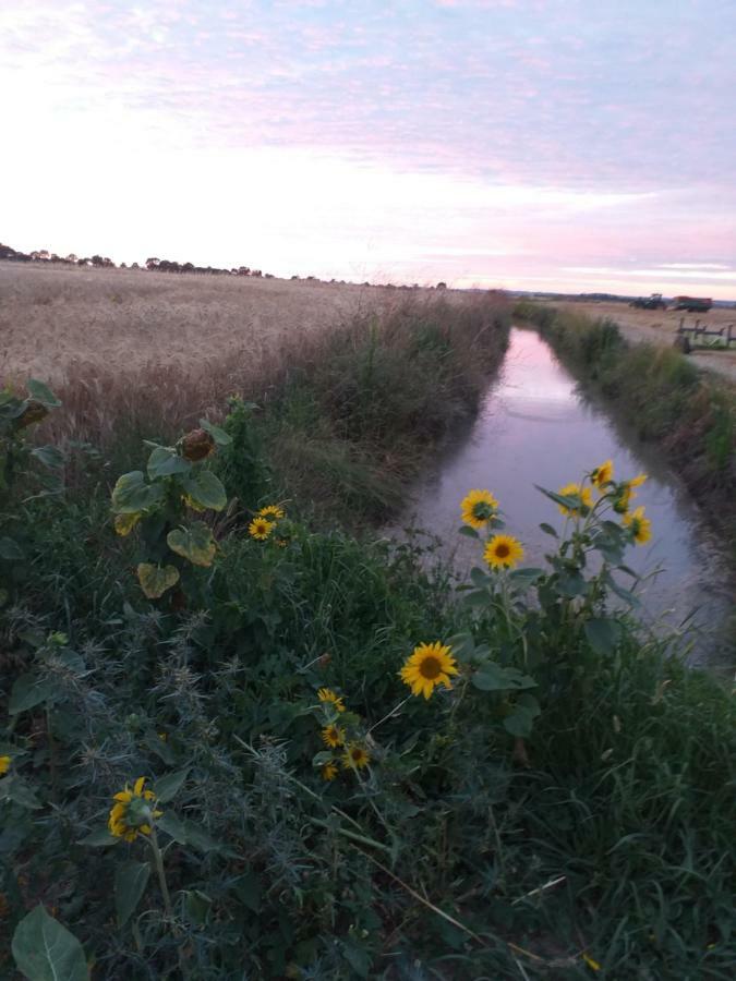 Saint-Bonnet-sur-Gironde Logis De Bois Rocheヴィラ エクステリア 写真