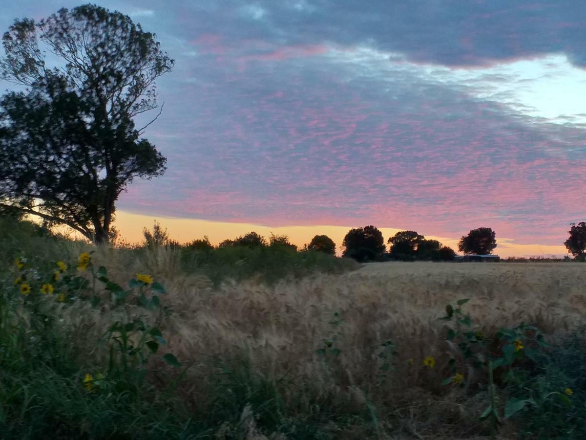 Saint-Bonnet-sur-Gironde Logis De Bois Rocheヴィラ エクステリア 写真