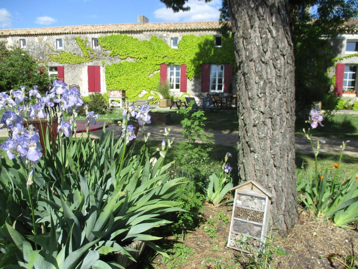 Saint-Bonnet-sur-Gironde Logis De Bois Rocheヴィラ エクステリア 写真